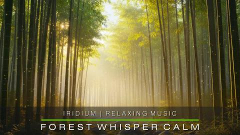 The Forest Whisper-Calm Iridium Stress Relief