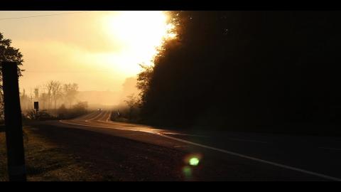 First Light Through The Fog - The Bear
