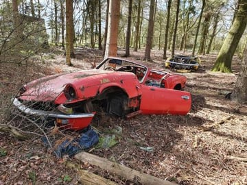 ABANDONED SPORTS CARS 