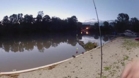 Fishing Show Cats & Sheepshead Ep.7 Season 2