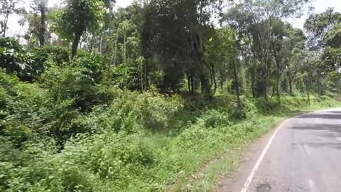 On The Way To Magajahalli Falls | Sakleshpur