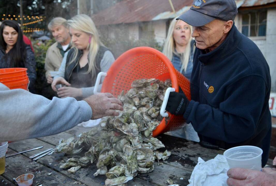 Tips for safely cooking a steamed oyster Hilton Head Island Packet