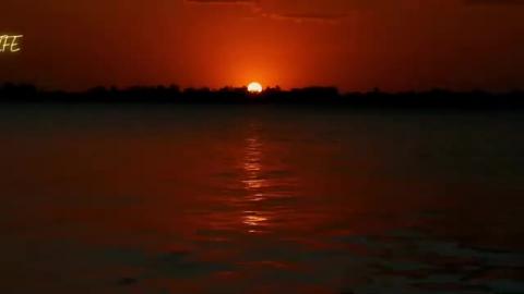 RELAXING Videos 24_7, Sleep Music, Stress Relief Music, S...