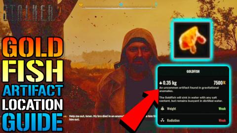 Stalker 2: "Goldfish Artifact" Location Guide! How To Get...