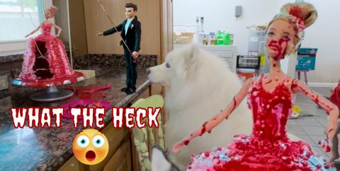 Husky Gets Scared By This Amazing Halloween Cake Inspired...