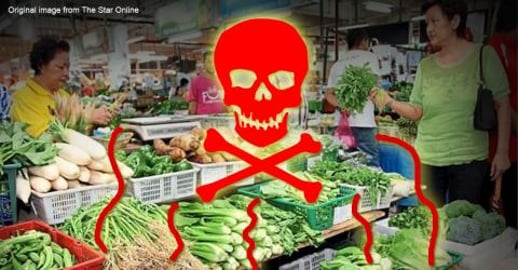 Remove cancer causing chemicals from your fruits and vege...