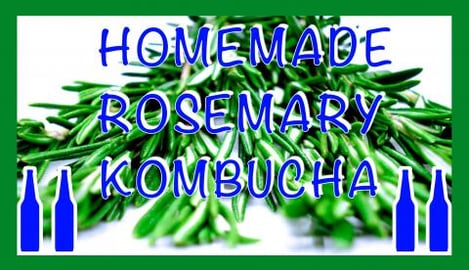 Homemade Rosemary Kombucha / Healthy, Sparkling & Refresh...
