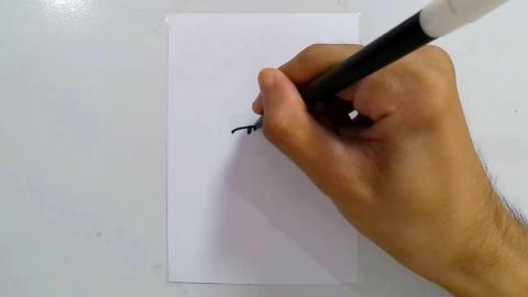 Drawing Graffiti Cartoon Carrot shorts