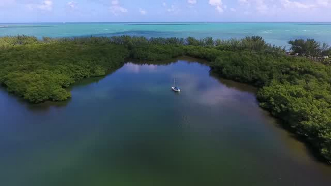A view of Jimbo's lagoon Miami Herald