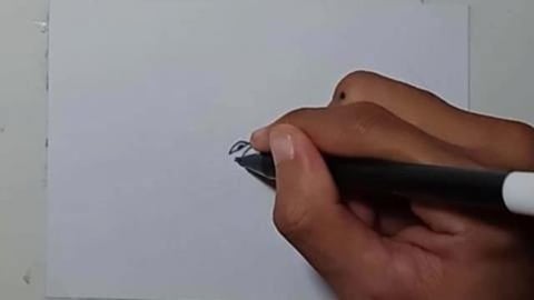 Drawing Graffity Character smoking iguana shorts