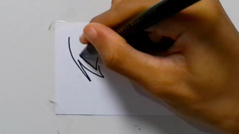Drawing tatto v42 2024 shorts