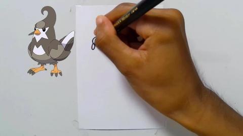 Draw Pokemon staravia shorts