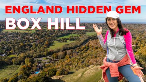Box Hill Walk: A Perfect Day Trip from London