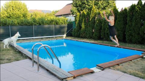 "Accidentally" Falling Into Pool in front of my Dog!