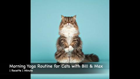 Morning Yoga Routine for Cats with Bill and Max (shorts)