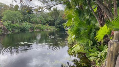 Christmas - Animal Kingdom - Chip n' Dale watercade from ...
