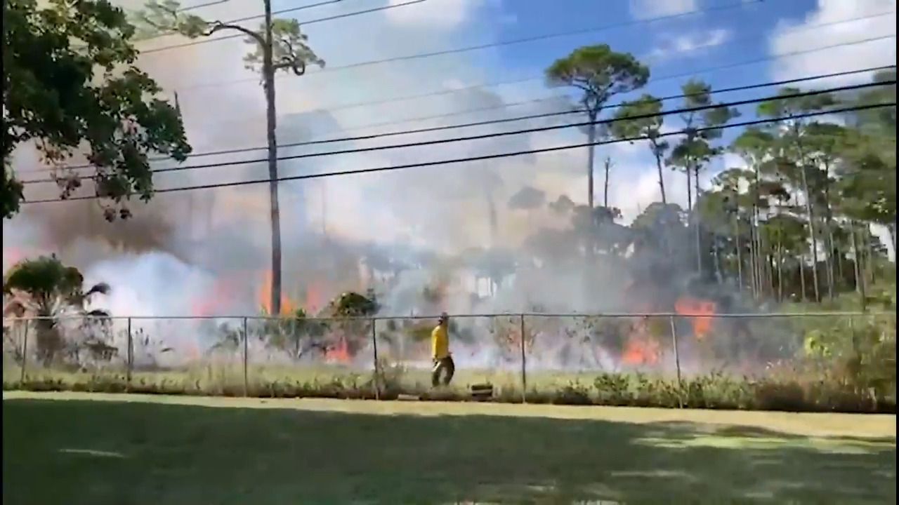 Firefighters Douse Trinity Brush Fire In South Miami-Dade | Miami Herald