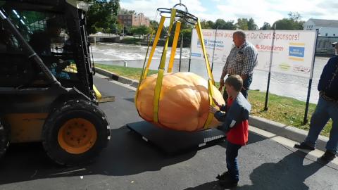 5 FOOT long Pumpkin grown by ERI of Holly Michigan 