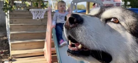 Tonka Says Babysitting Ain’t Easy