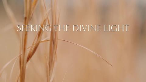 Seeking the Divine Light - 5 minute meditation to uplift ...