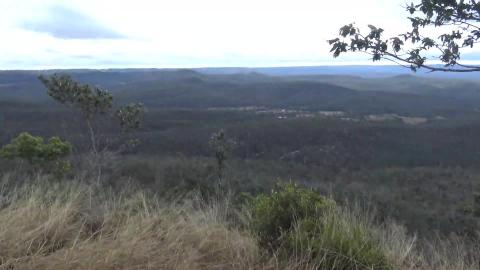 Malamute & husky check out the Mount Lofty view