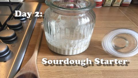 Sourdough Starter Day 2