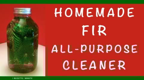 Homemade Fir All-Purpose Cleaner / with Vinegar