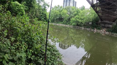 Fishing For Catfish And This Happened