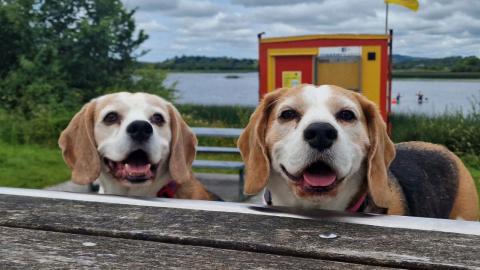 Sometimes it's better not to know 