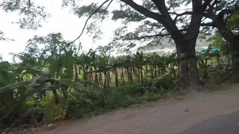 Outskirts of Nagercoil Town | Tamil Nadu