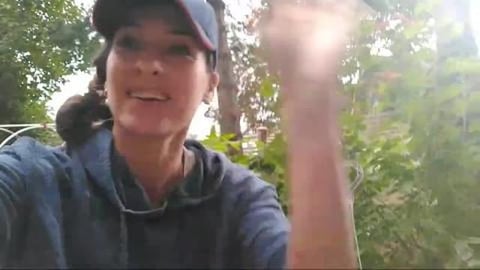 Strawberry Leaves Need Love Too: Gardening With Kimberly
