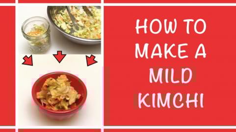 How to Make a Mild Kimchi / Fermented Vegetables Recipe 