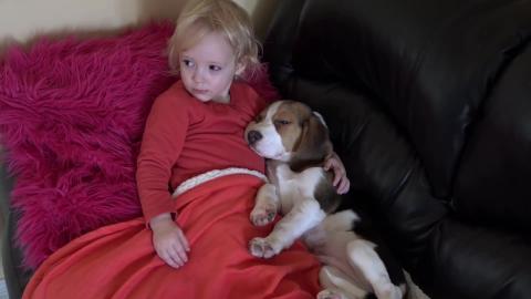 Little girl loves to hug her dogs while watching Tv
