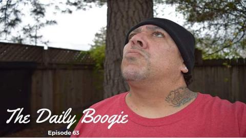 Interview With A Crow