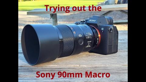 Sony 90mm F 2.8 Macro lens - Sample Photos and Video