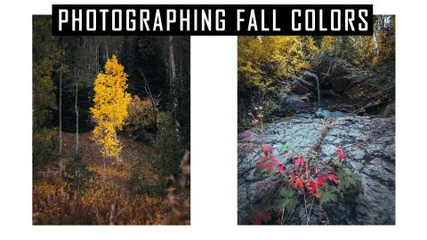 Photographing Autumn Colors