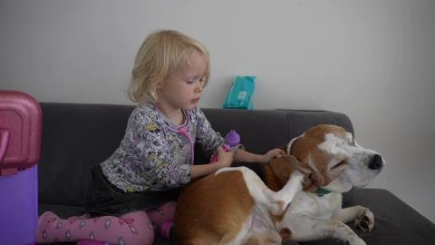 Baby Playing Vet With Her Cute Beagle Dog with Funny Endi...