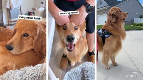 A Sneak Attack Failure