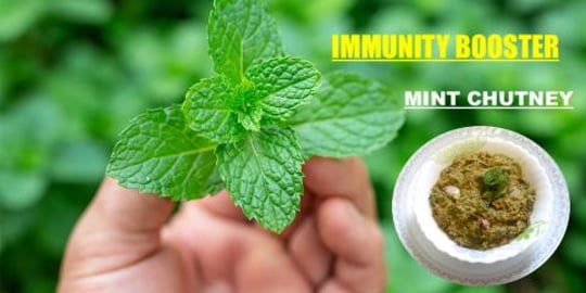 MINT CHUTNEY - THE IMMUNITY BOOSTER || BY BB CHEF