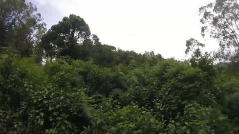 Top Station To Munnar | Kerala