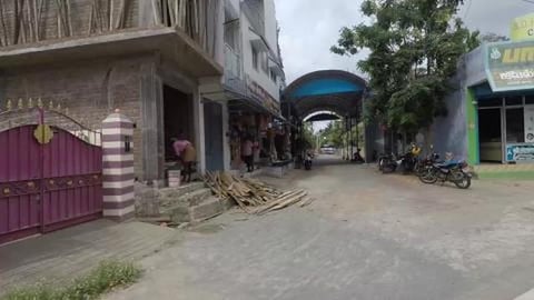 Lotus Ponds On Both Sides of The Road | Tamil Nadu