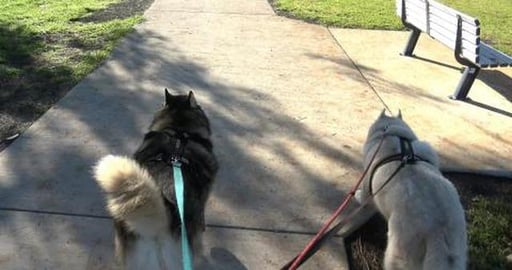 Building is afoot on the foothpath too nowhere