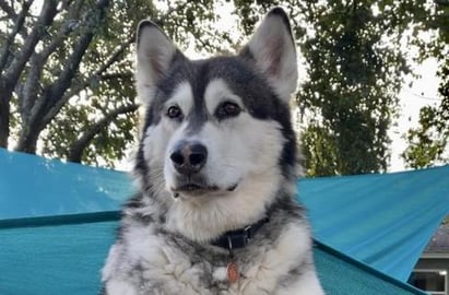 He Wants To Go To A College Party