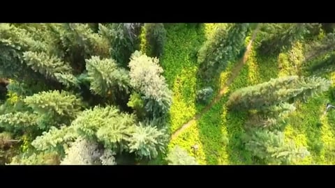 Canada Through My Lens - Cinematic Travel Vlog