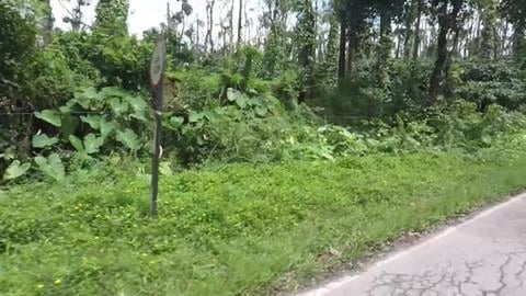 Winding Roads To Sakleshpur | Karnataka 
