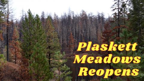 Plaskett Meadows After August Complex Fire