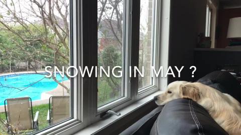 Day 72 of Lockdown. We are told we can go shopping at Gar...