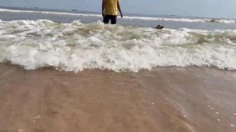 First day at the Beach with Luna and Sophie