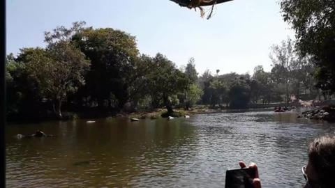 Crossing Kaveri River to reach Dubare Elephant Camp | Coo...