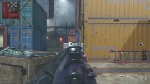 Just Beast'n It With SP-R 208 Marksman Rifle in Call of D...
